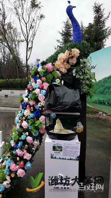 濰坊海洋生物租賃、萌寵動(dòng)物租賃,百鳥展