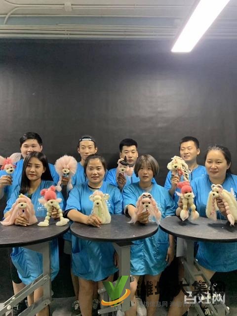 諸城專(zhuān)業(yè)寵物美容學(xué)校? 一諾寵物美容培訓(xùn)