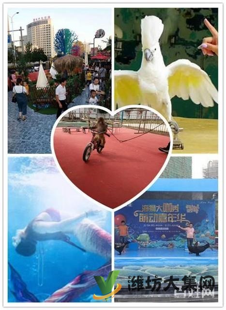 諸城市萌寵動(dòng)物展 海洋魚(yú)缸展租賃