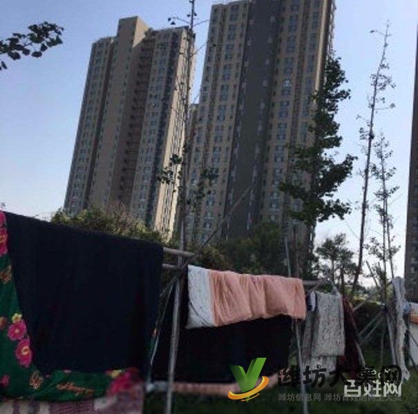 買奧體近大三室，超底價格，視野 開闊，全天采光南北通透