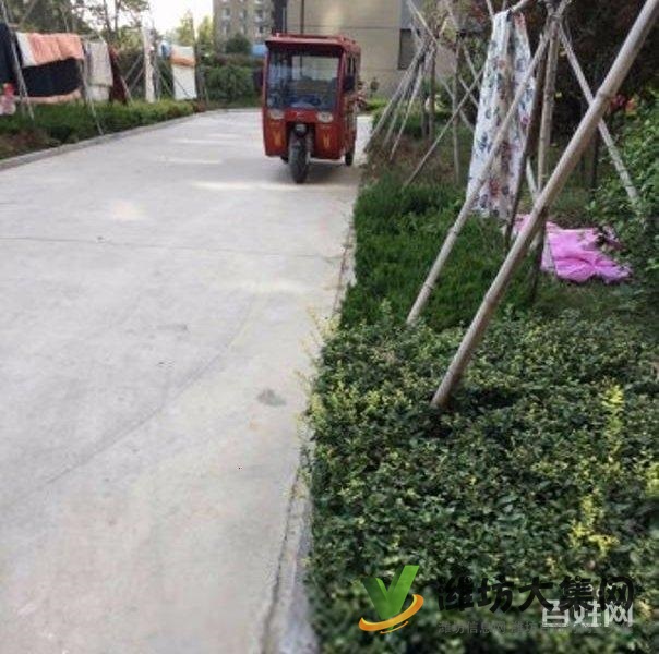 買奧體近大三室，超底價格，視野 開闊，全天采光南北通透