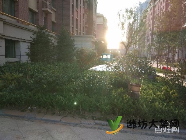 水木菁華黃金觀景洋房3999一平包更名急售