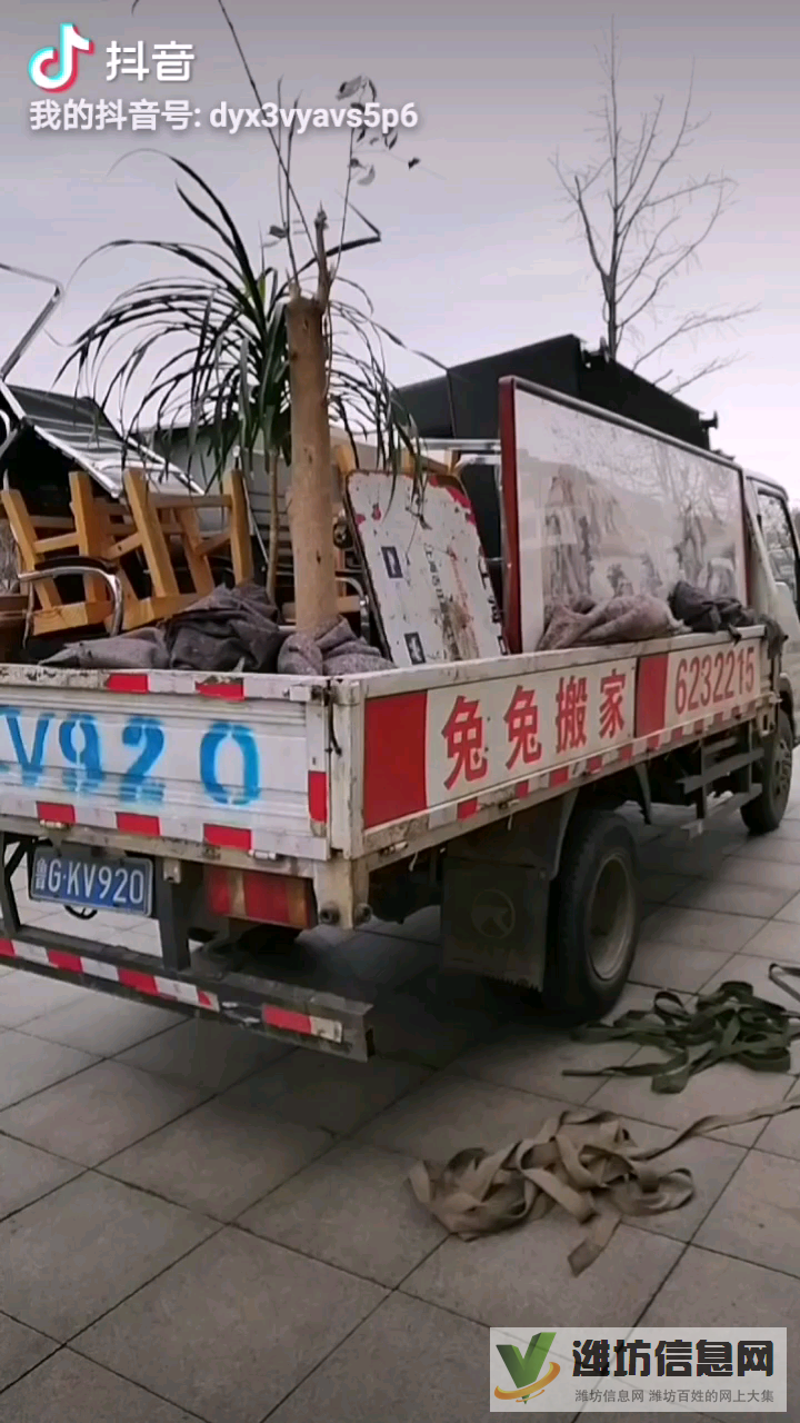 昌樂(lè)兔兔搬家6232215