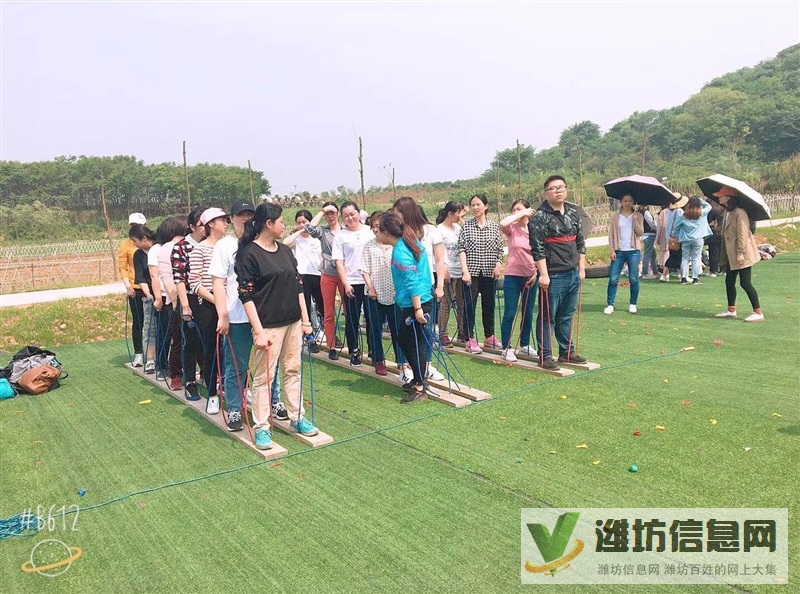 在武漢公司團建拓展這方面聽我的你是沒有錯的