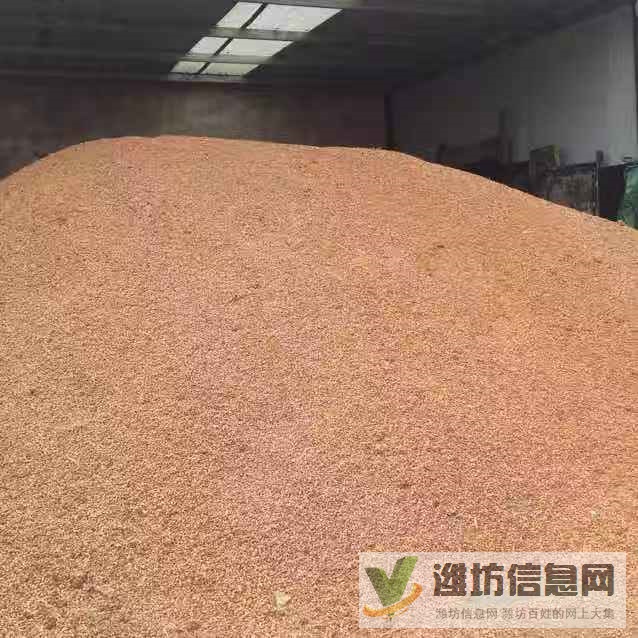 干凈山楂核出售